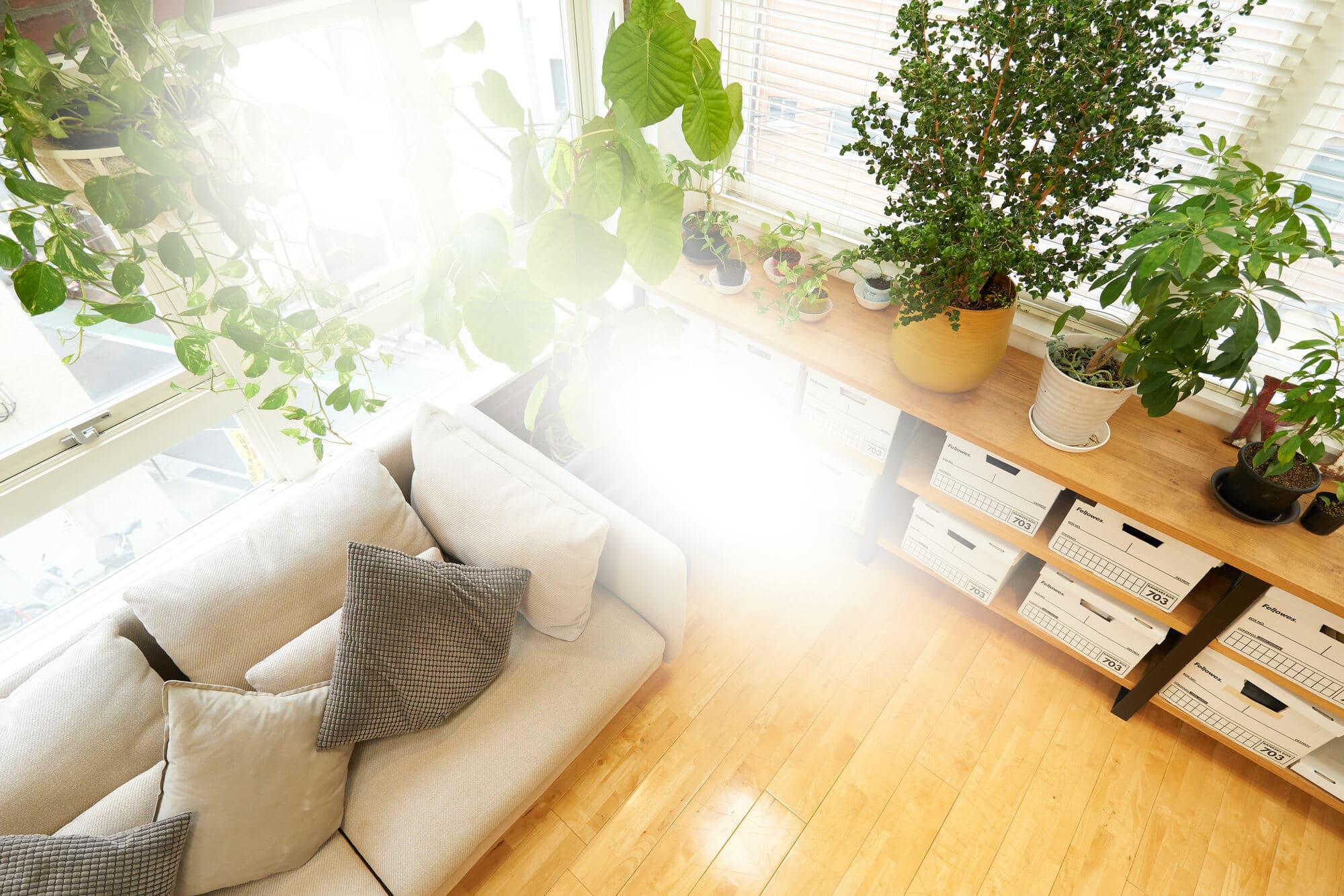 狭くて収納スペースがない部屋の収納アイデア5選!実践時の注意点も解説